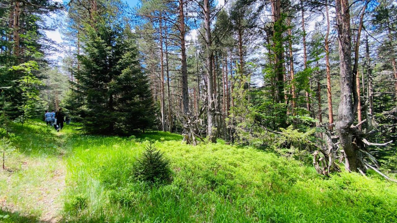 Eco Village Pavlovic Žabljak Eksteriør bilde