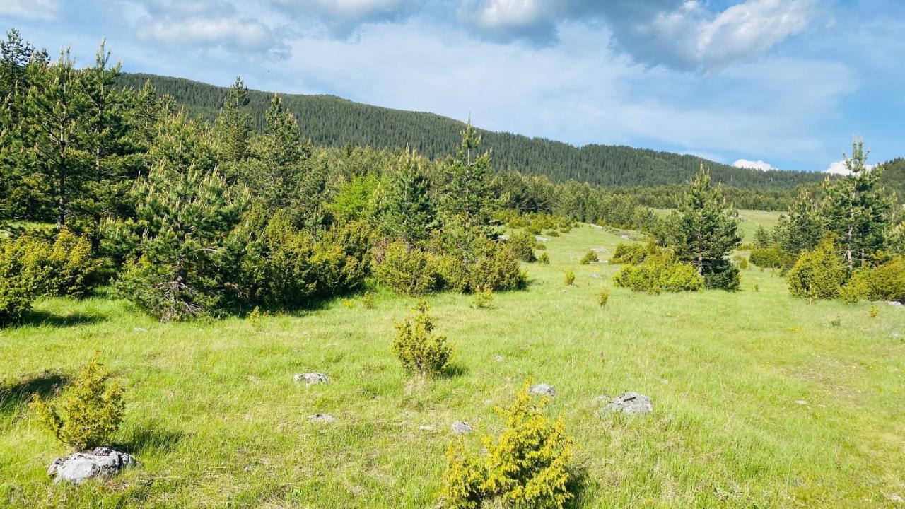 Eco Village Pavlovic Žabljak Eksteriør bilde