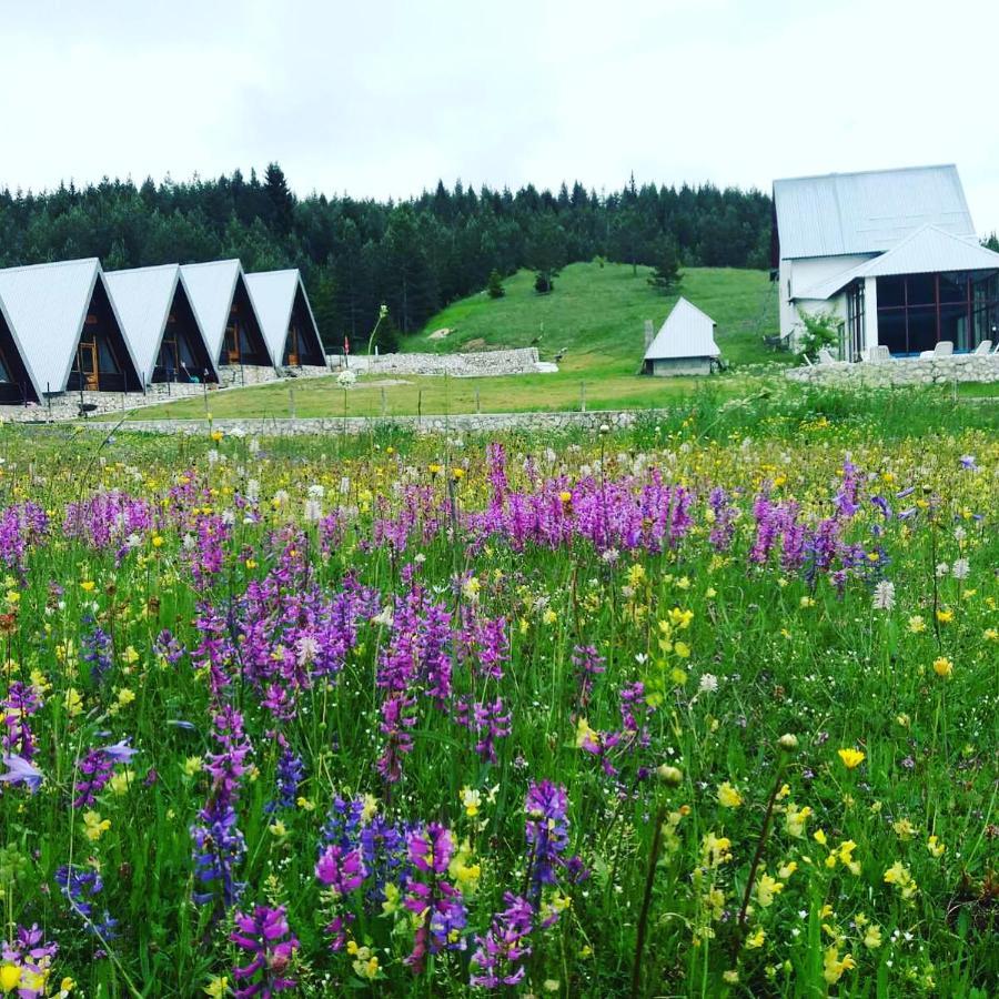 Eco Village Pavlovic Žabljak Eksteriør bilde