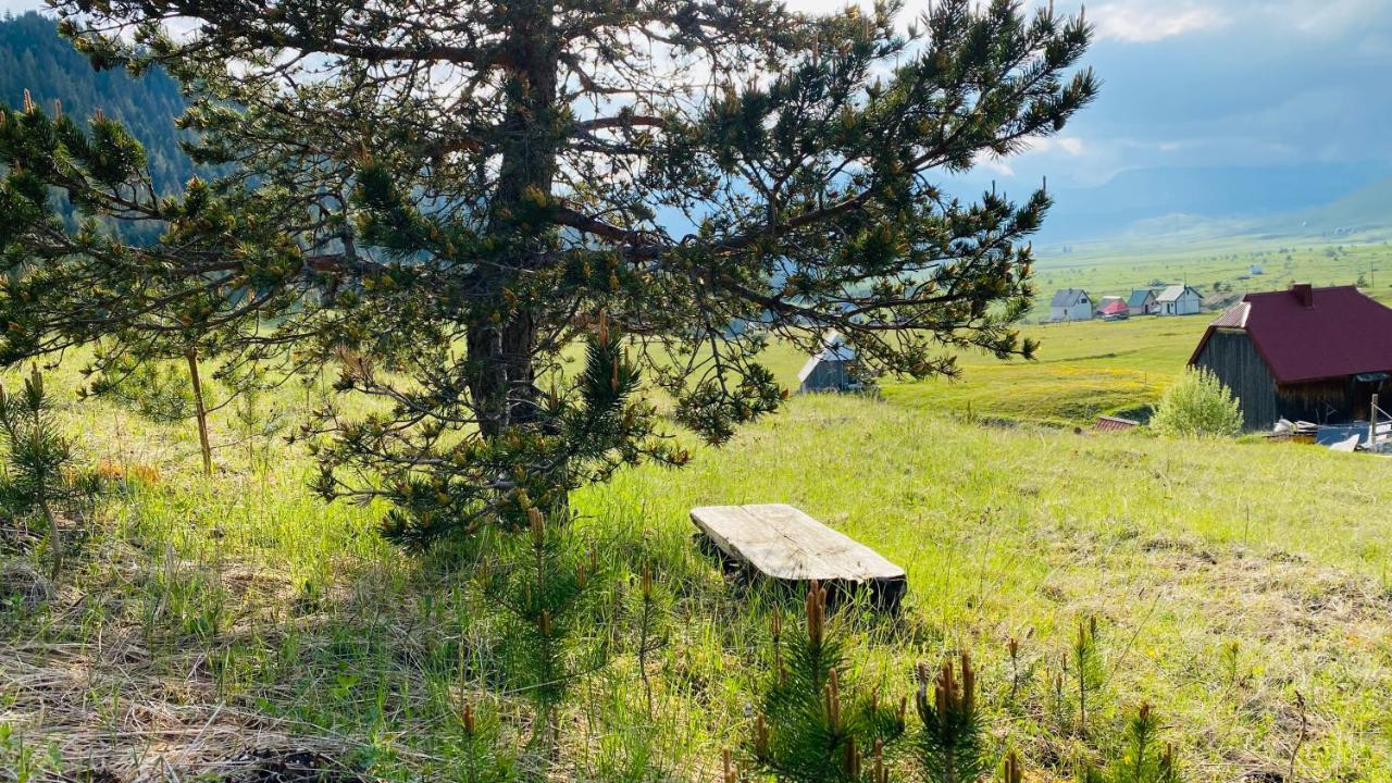 Eco Village Pavlovic Žabljak Eksteriør bilde