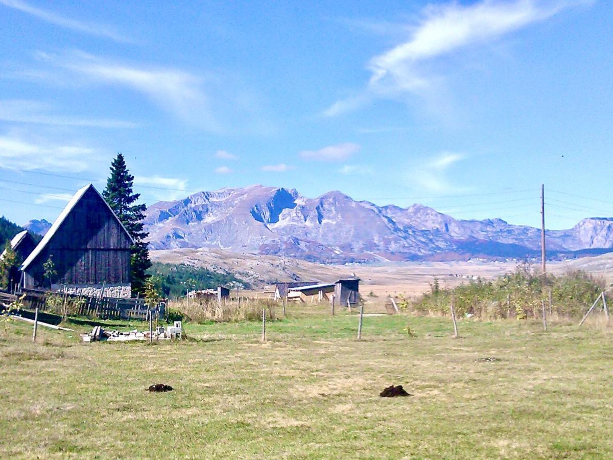 Eco Village Pavlovic Žabljak Eksteriør bilde