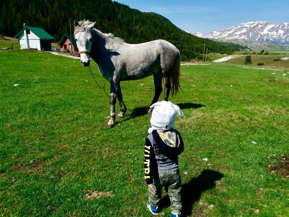 Eco Village Pavlovic Žabljak Eksteriør bilde